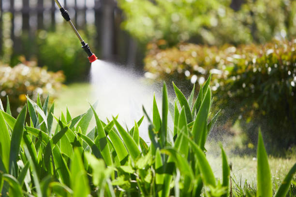 24/7 Emergency Mosquito Control experts in Chillicothe, MO